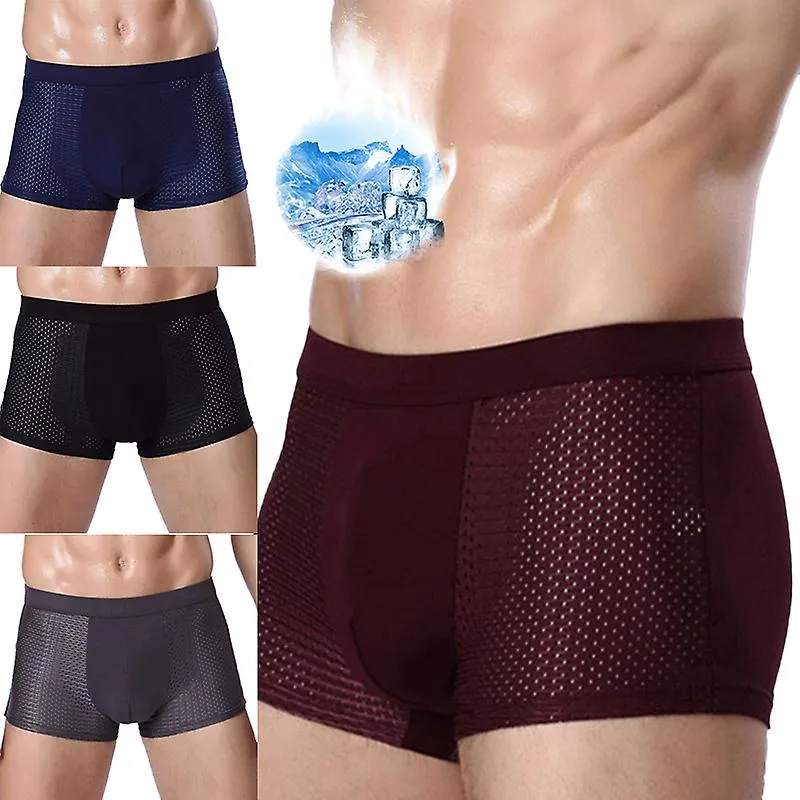 2024 Boxers Briefs Man Ice Silk Shorts Underpants Male Large Size Men's Mesh Panties Breathable Long Boxer For Men Underwear