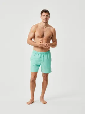 Borg Swim Shorts